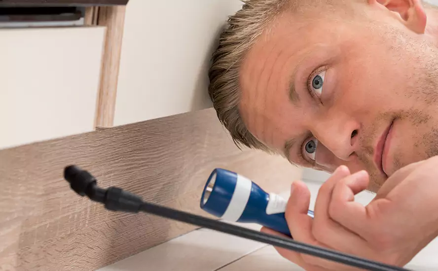 Top-Notch Pest Control in Marietta