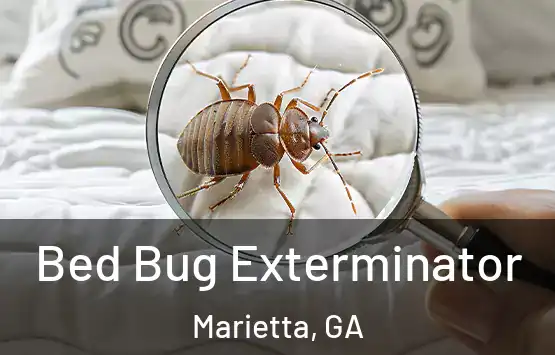  Bed Bug Exterminator Marietta, GA