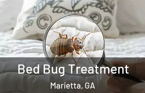  Bed Bug Treatment Marietta, GA