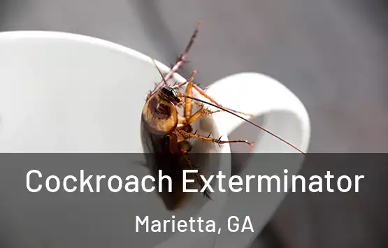  Cockroach Exterminator Marietta, GA