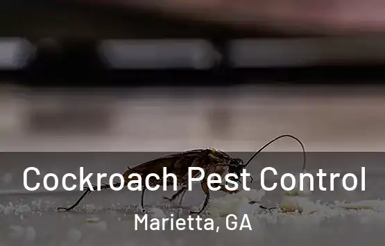  Cockroach Pest Control Marietta, GA
