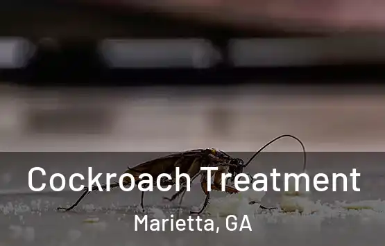  Cockroach Treatment Marietta, GA