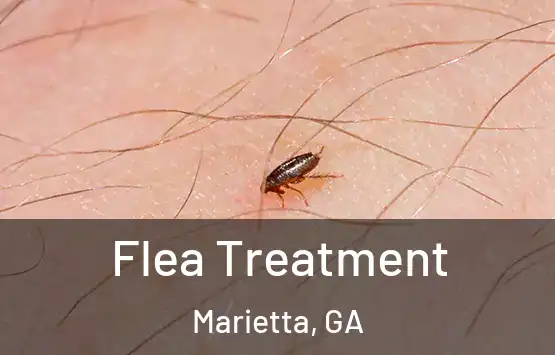  Flea Treatment Marietta, GA