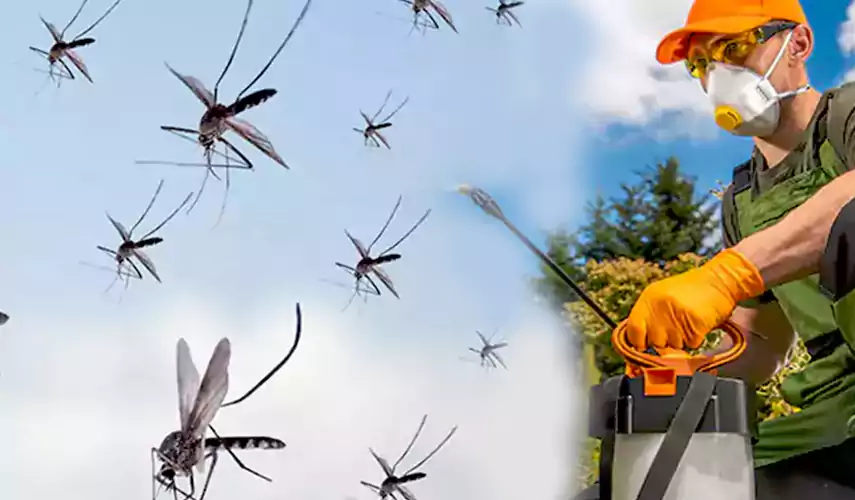 Mosquito Pest Control in Marietta, GA