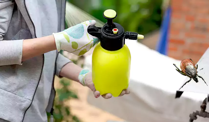 Ticks Pest Control Marietta, Georgia