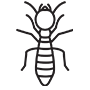 Termites Pest Control Marietta, Georgia