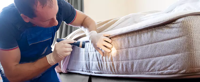 bed-bug-exterminator in Marietta, GA