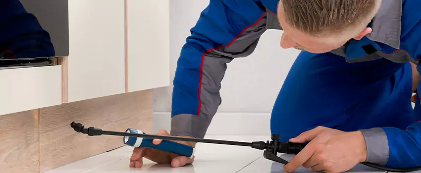 Ant Control for Bedrooms in Marietta, GA