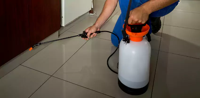 Commercial Pest Extermination for Offices in Marietta, GA