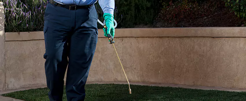 Emergency Pest Extermination for Children and Pets Marietta, GA