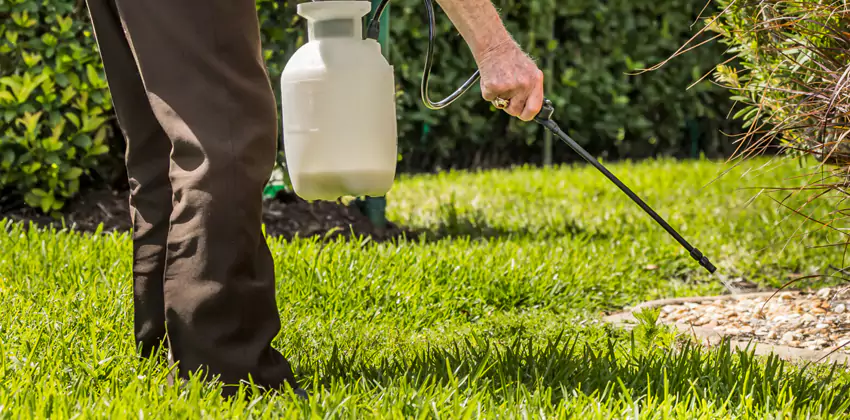 Grub Treatment for Bedrooms Marietta, GA