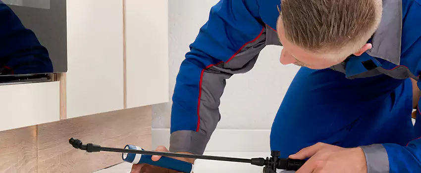 Termite Control for Children and Pets in Marietta, GA