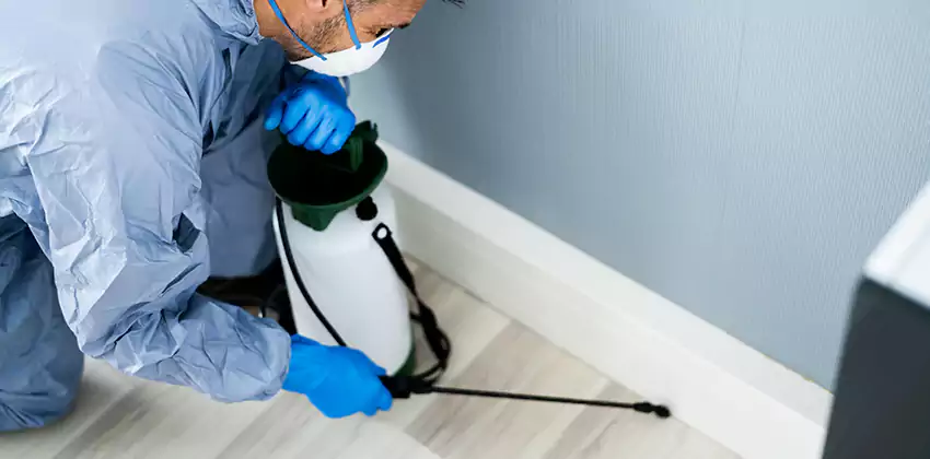 commercial-pest-exterminator in Marietta, GA