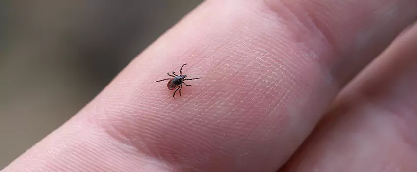 tick-control in Marietta, GA