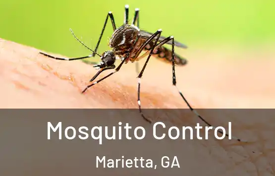  Mosquito Control Marietta, GA