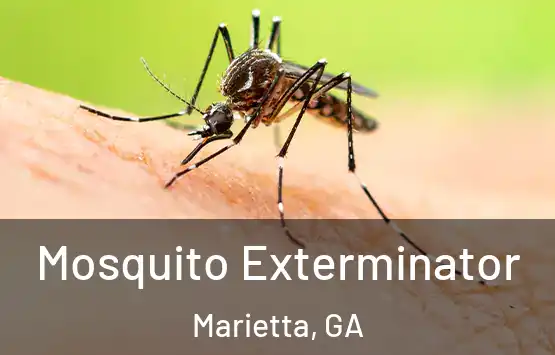  Mosquito Exterminator Marietta, GA