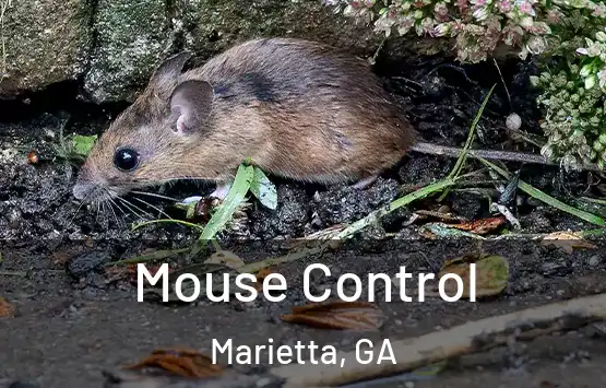  Mouse Control Marietta, GA