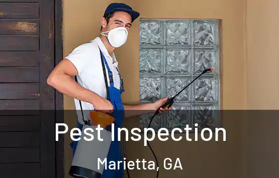  Pest Inspection Marietta, GA