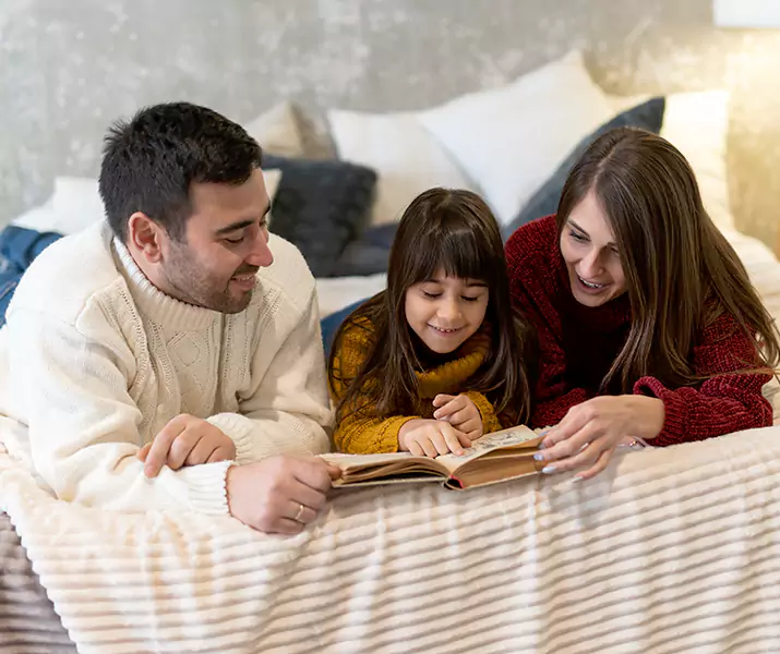 About Bed Bug Pest Control Marietta