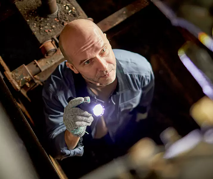 About Pest Inspection Marietta