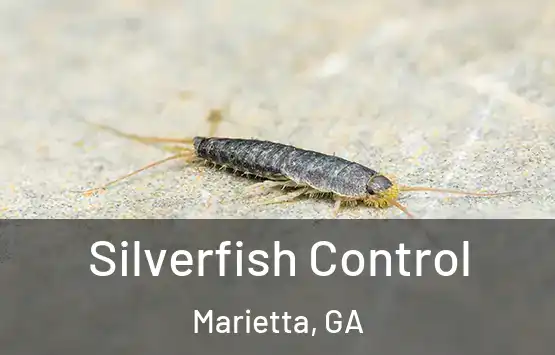  Silverfish Control Marietta, GA