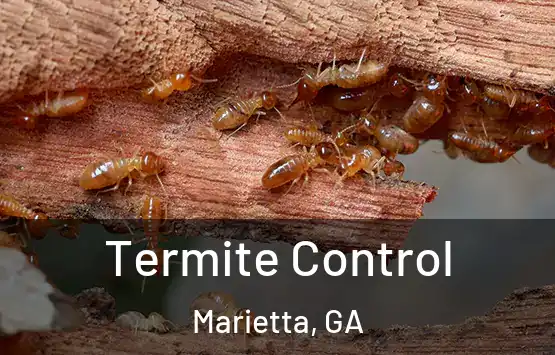 Termite Control Marietta, GA