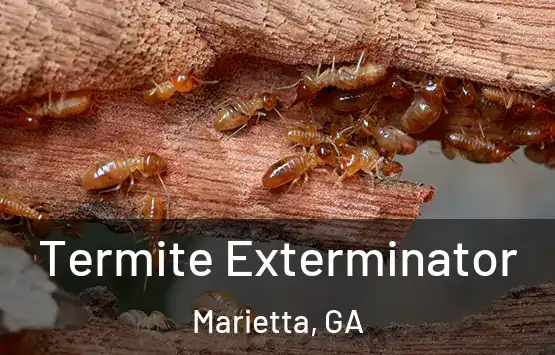 Termite Exterminator Marietta, GA