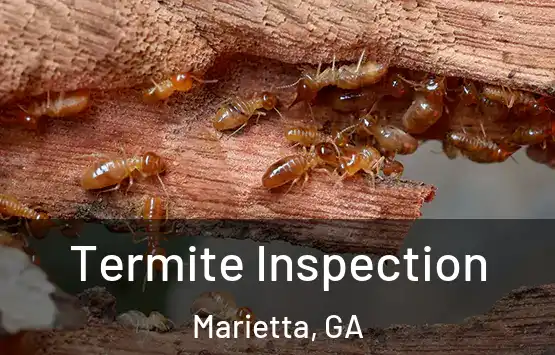  Termite Inspection Marietta, GA