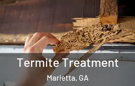  Termite Treatment Marietta, GA