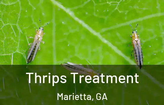 Thrips Treatment Marietta, GA