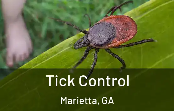  Tick Control Marietta, GA