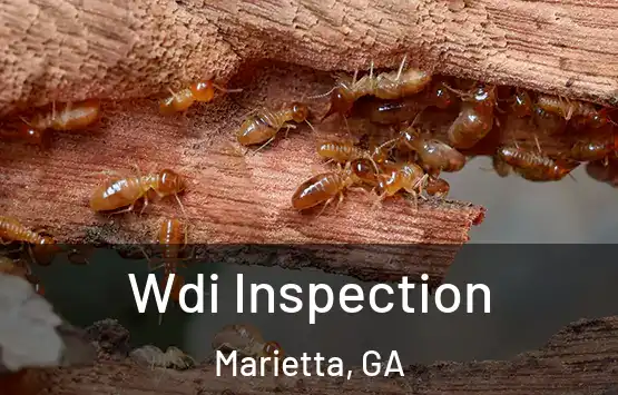  Wdi Inspection Marietta, GA